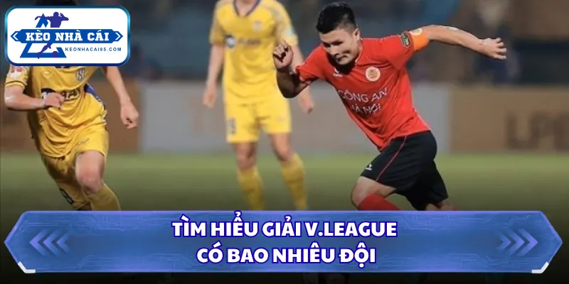 Tìm hiểu giải V.League có bao nhiêu đội