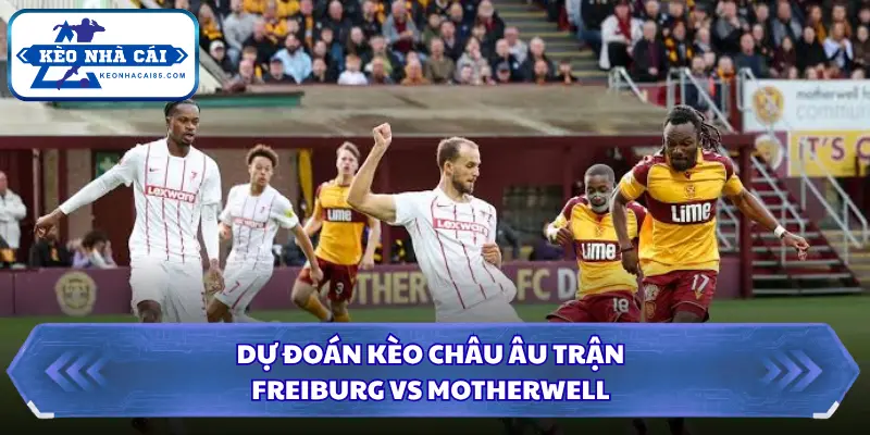 Soi Kèo Nhà Cái Freiburg Vs Motherwell Lúc 23h45 Ngày 27/8 - Cúp C3 3 Soi kèo nhà cái Freiburg vs Motherwell với tỷ lệ tài xỉu