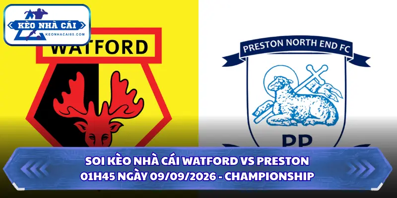 Soi Kèo Nhà Cái Watford Vs Preston 01h45 Ngày 09/09/2026 - Championship 1 Soi kèo nhà cái Watford vs Preston